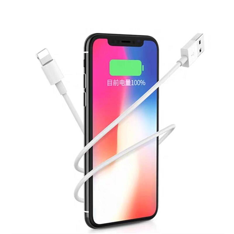 Fast Charging Cable EU USB Charger for iPhone 6 6S 7 8 Plus X XR XS 11 Pro Max 5S 5 SE iPad Air 2 mini 2 3 Data Sync Charge Wire