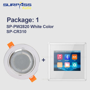 Surpass Audio Background Music In Wall Amplifiers TF/AUX IN Music Player, Bluetooth Digital Stereo Amplifier With Roof Speakers