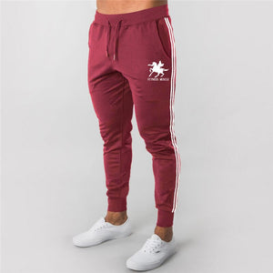 Jogging Trousers Homme Sport Pants Men Fitness Running Pants Sports Tights Gym Training Skinny sport pant Mens Joggers Sweatpant