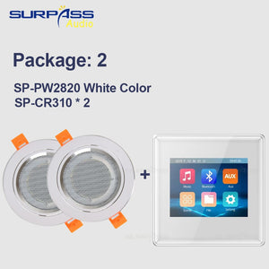 Surpass Audio Background Music In Wall Amplifiers TF/AUX IN Music Player, Bluetooth Digital Stereo Amplifier With Roof Speakers