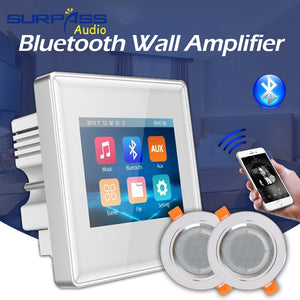 Surpass Audio Background Music In Wall Amplifiers TF/AUX IN Music Player, Bluetooth Digital Stereo Amplifier With Roof Speakers