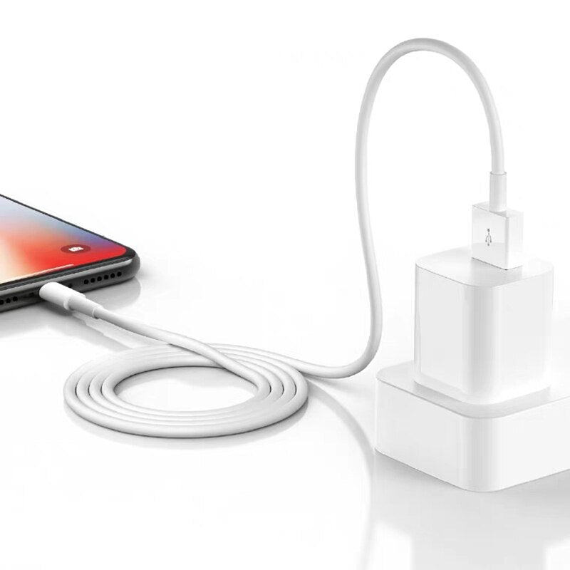 Fast Charging Cable EU USB Charger for iPhone 6 6S 7 8 Plus X XR XS 11 Pro Max 5S 5 SE iPad Air 2 mini 2 3 Data Sync Charge Wire