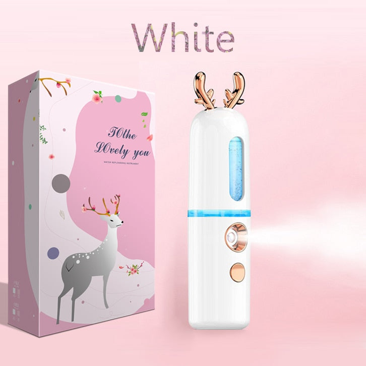 30ML Mini Nano Facial Sprayer USB Nebulizer Face Steamer Humidifier Hydrating Anti-aging Wrinkle Women Beauty Skin Care Tools