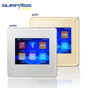 Surpass Audio Background Music In Wall Amplifiers TF/AUX IN Music Player, Bluetooth Digital Stereo Amplifier With Roof Speakers