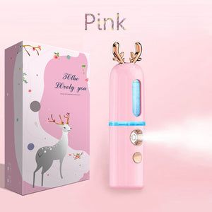 30ML Mini Nano Facial Sprayer USB Nebulizer Face Steamer Humidifier Hydrating Anti-aging Wrinkle Women Beauty Skin Care Tools