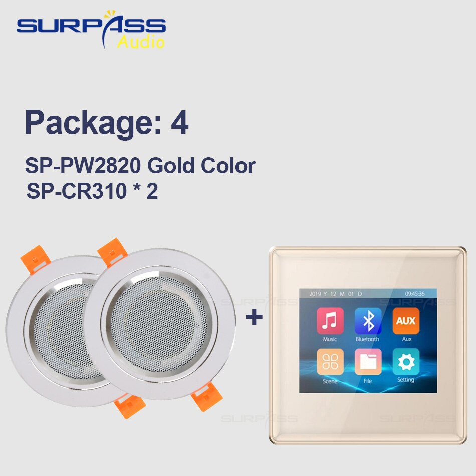 Surpass Audio Background Music In Wall Amplifiers TF/AUX IN Music Player, Bluetooth Digital Stereo Amplifier With Roof Speakers
