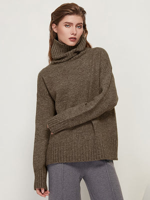 Aachoae Autumn Winter Women Knitted Turtleneck Wool Sweaters 2022 Casual Basic Pullover Jumper Batwing Long Sleeve Loose Tops