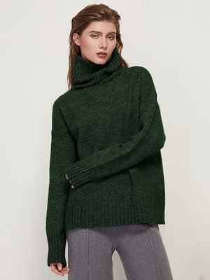 Aachoae Autumn Winter Women Knitted Turtleneck Wool Sweaters 2022 Casual Basic Pullover Jumper Batwing Long Sleeve Loose Tops